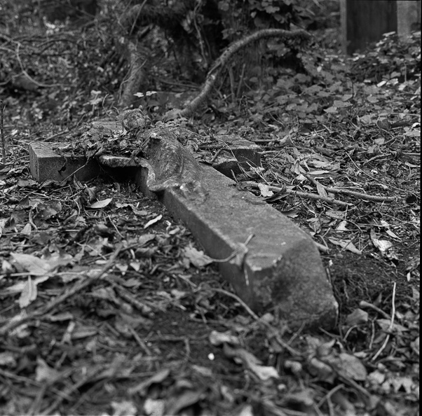 20091015_R28F-Nunhead-Cemetery-014.jpg