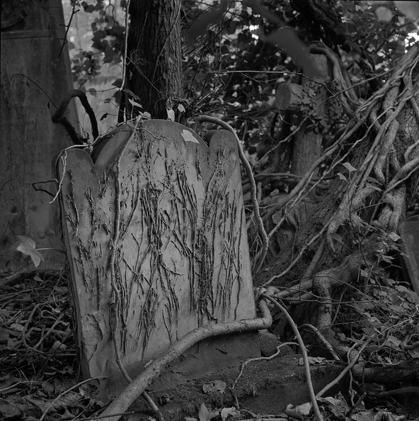 20091018_R28F-Nunhead-Cemetery-010.jpg