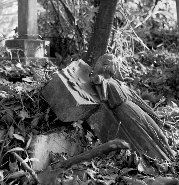 20091114_ZSI-Nunhead-Cemetery-011.jpg