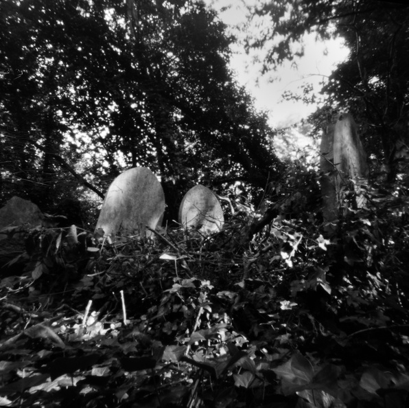 20090829_Z2k-Nunhead-Cemetery-002.jpg