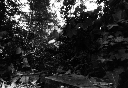 Pinhole Cemetery