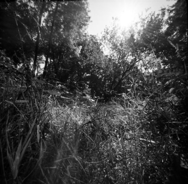20090829_Z2k-Nunhead-Cemetery-010.jpg