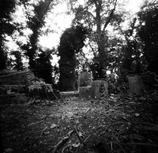 20090829_Z2k-Nunhead-Cemetery-011.jpg
