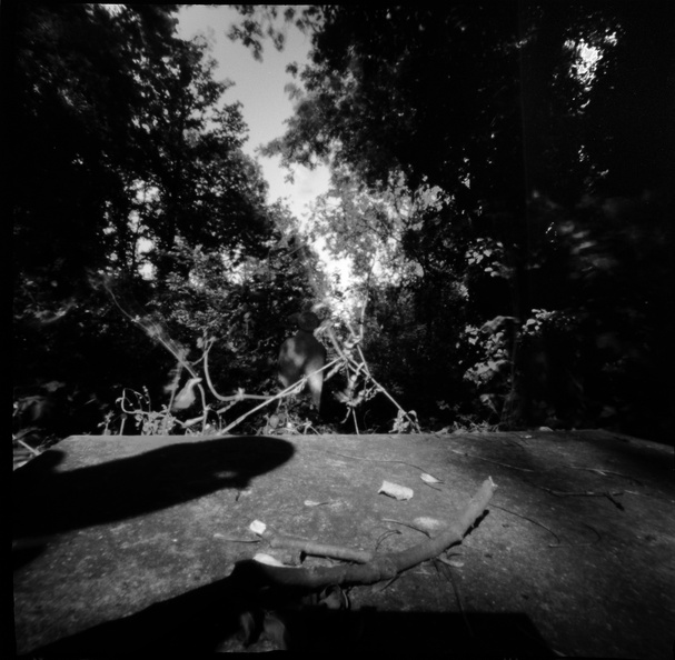 20090829_Z2k-Nunhead-Cemetery-014.jpg