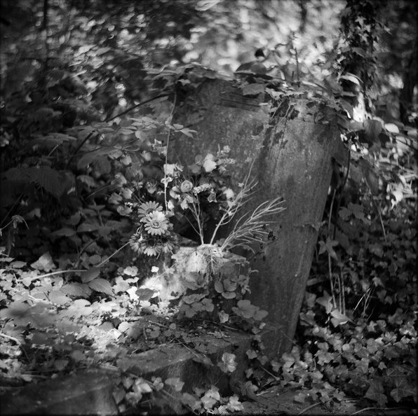 20090829_ZSI-Nunhead-Cemetery-005.jpg