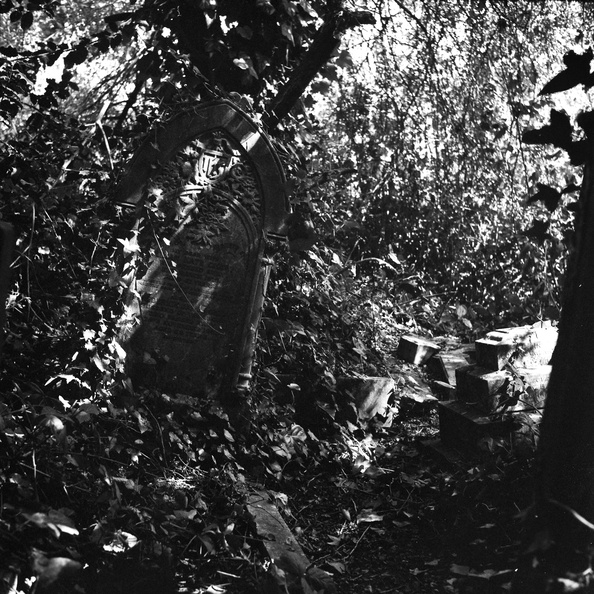 20090829_ZSI-Nunhead-Cemetery-009.jpg