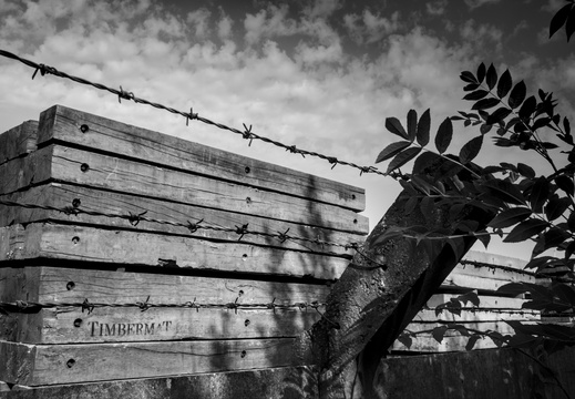 Timber & barbed wire