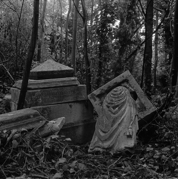 20091010_RA1-Nunhead-Cemetery-005.jpg