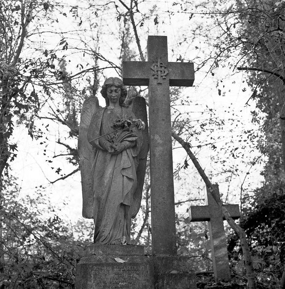 20091107_R28F-Nunhead-Cemetery-002.jpg