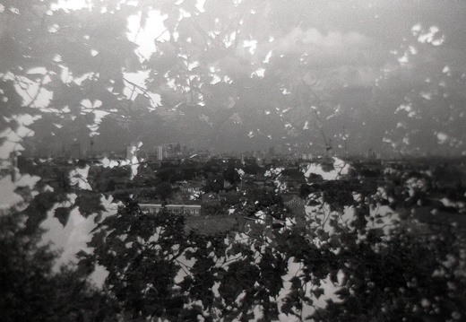 20090627 Holga-Greenwich-003