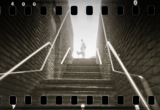 Point Hill Holga 35mm panos 10