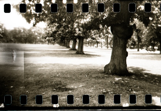 Point Hill Holga 35mm panos 04