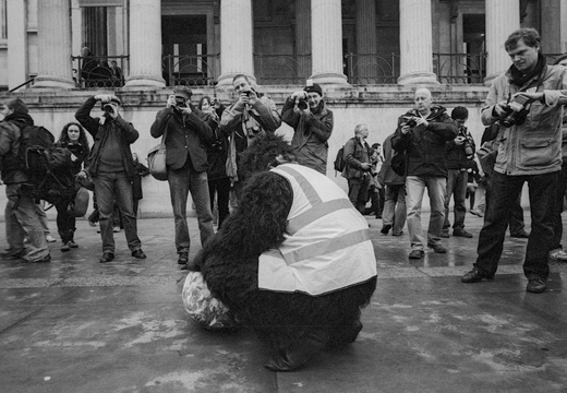 I'm a photographer not a terrorist 01