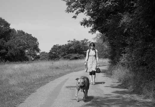 20140726 X100-Lullingstone-008 01