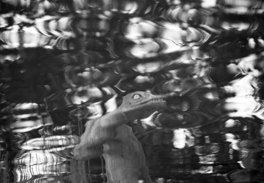 Crystal Palace Dinosaur