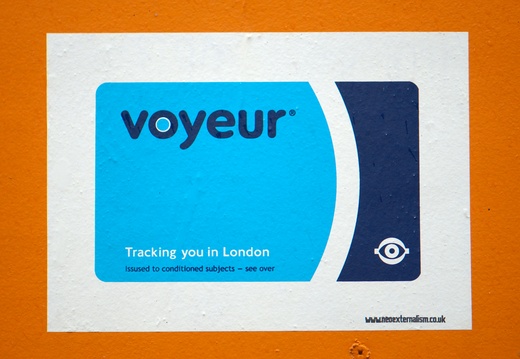 Oyster Voyeur