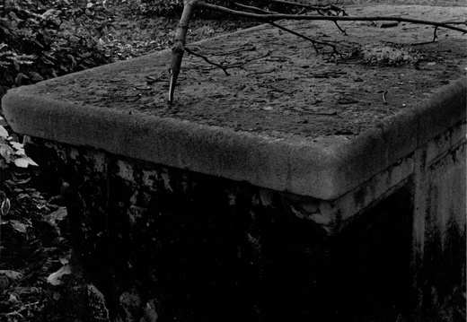 20081208 If-St-Alfege.009 lzn