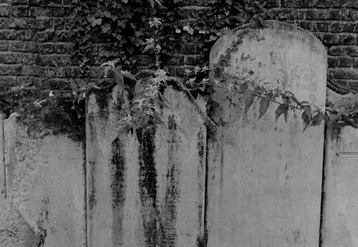 20081208 If-St-Alfege.016 lzn