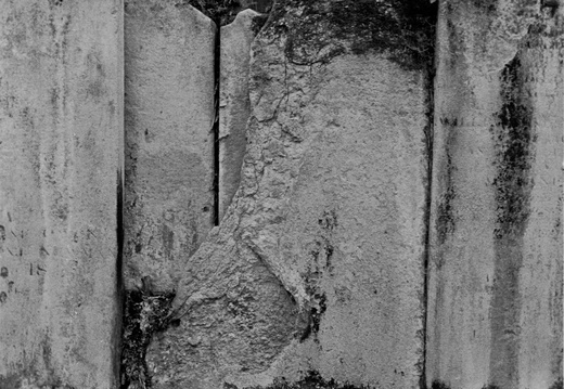 20081208 If-St-Alfege.017 lzn