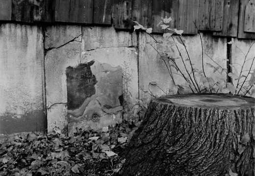 20081208 If-St-Alfege.021 lzn