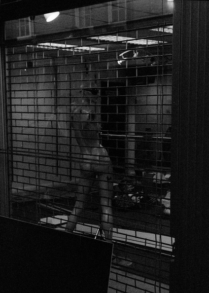 20081122_IIf-Spitalfields-2.017_lzn.jpg