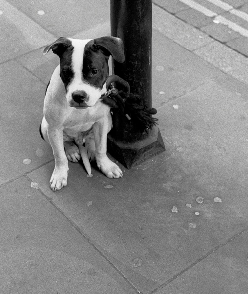 20081122_IIf-Spitalfields-2.027_lzn.jpg