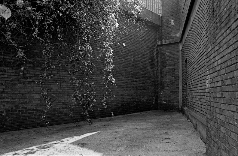 20090321_M6-St-Greenwich.004_lzn.jpg