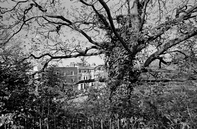 20090404_BT-Point-Hill.012_lzn.jpg
