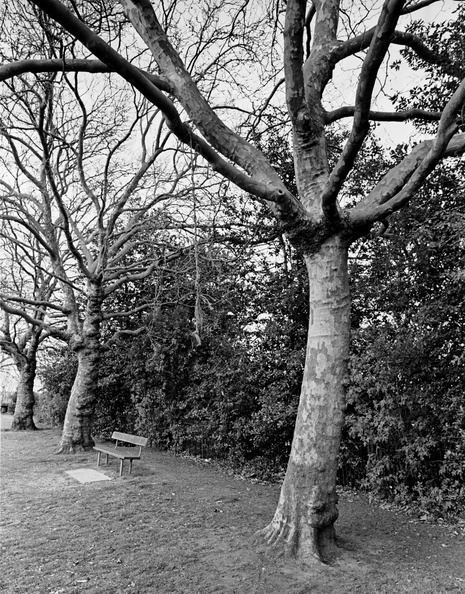 20090404_BT-Point-Hill.015_lzn.jpg