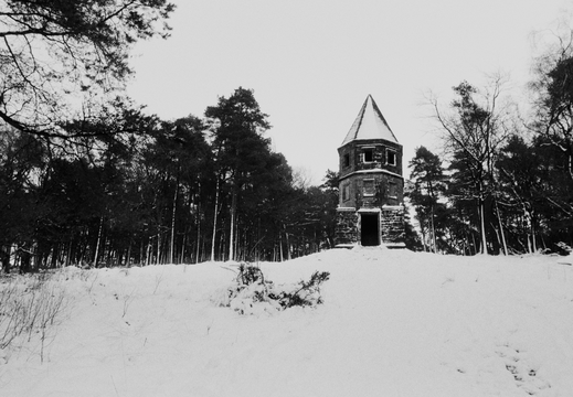 20250112 FM2n 24 [agp] lantern-wood 004