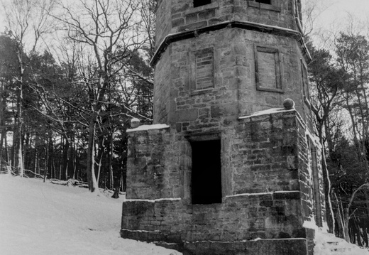 20250112 FM2n 24 [agp-tiff] lantern-wood-027