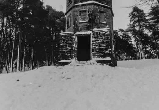 20250112 FM2n 24 [agp-tiff] lantern-wood-031