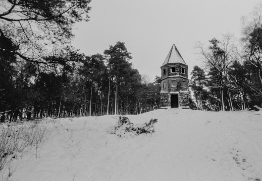 20250112 FM2n 24 [agp-tiff] lantern-wood-033