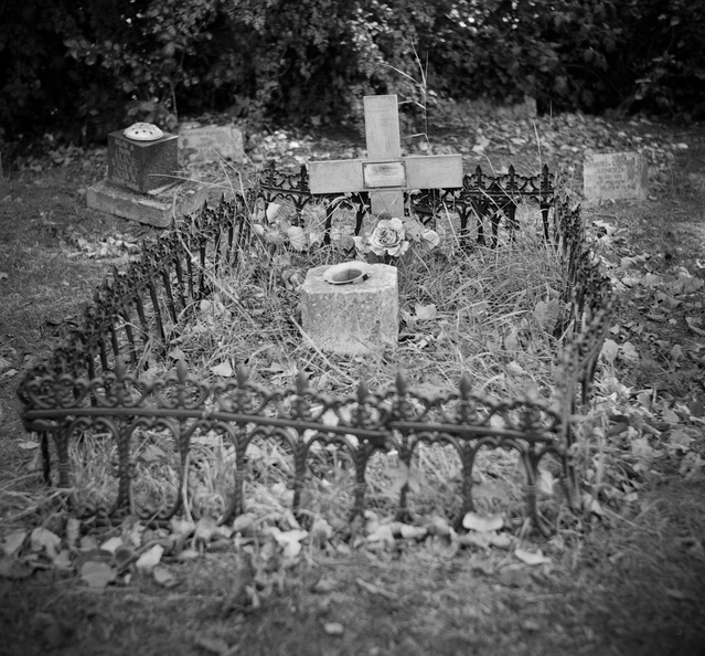 20090829_ZSI-Nunhead-Cemetery-002.jpg