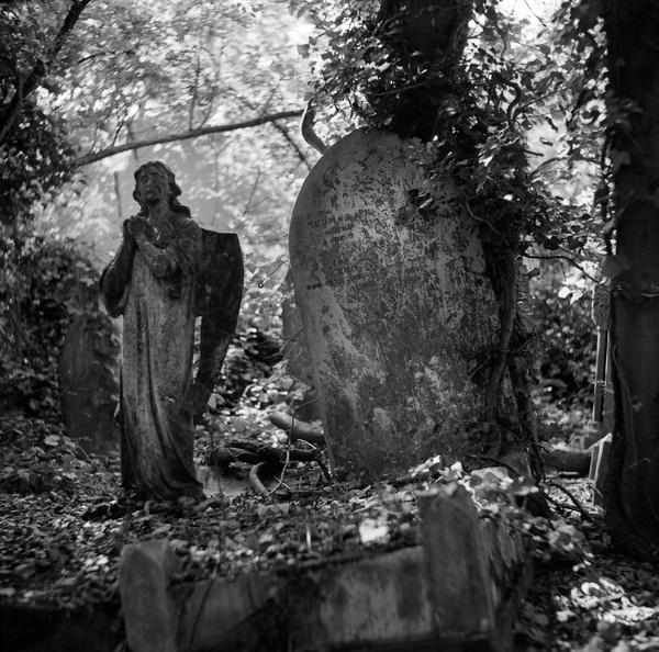 20090829_ZSI-Nunhead-Cemetery-014.jpg